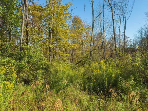 $134,000 | Reservoir Hill Road, Plymouth, NY 13815