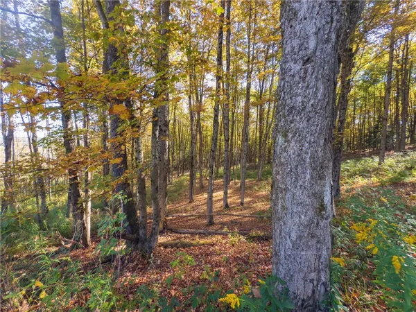 $134,000 | Reservoir Hill Road, Plymouth, NY 13815