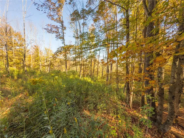 $149,000 | Reservoir Hill Road, Norwich, NY 13815