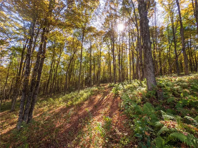 $149,000 | Reservoir Hill Road, Norwich, NY 13815