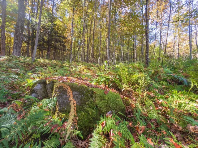 $149,000 | Reservoir Hill Road, Norwich, NY 13815