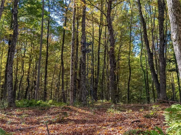 $134,000 | Reservoir Hill Road, Plymouth, NY 13815