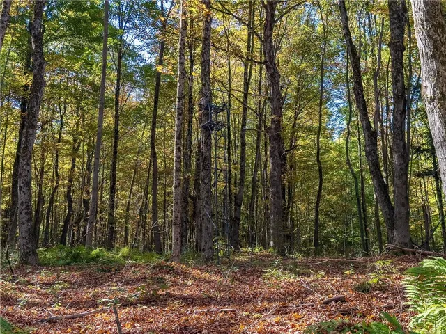 $149,000 | Reservoir Hill Road, Norwich, NY 13815