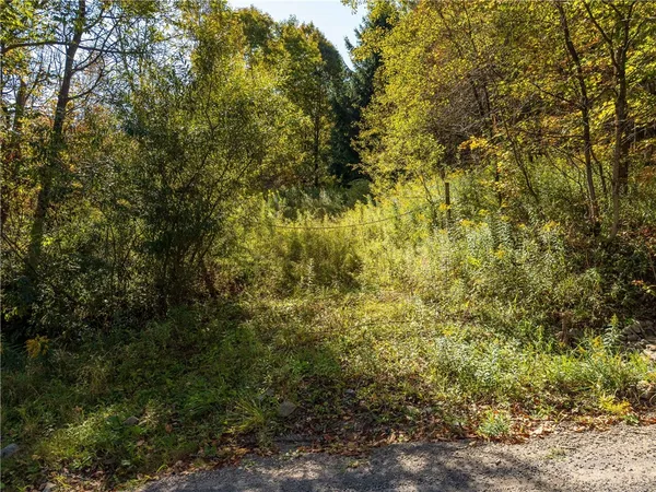 $134,000 | Reservoir Hill Road, Plymouth, NY 13815
