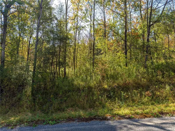 $134,000 | Reservoir Hill Road, Plymouth, NY 13815