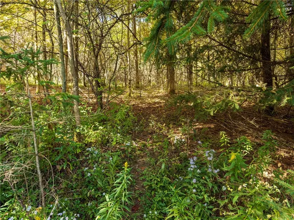 $134,000 | Reservoir Hill Road, Plymouth, NY 13815