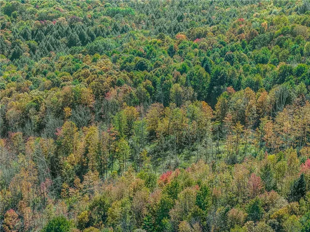 $149,000 | Reservoir Hill Road, Norwich, NY 13815