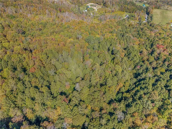 $134,000 | Reservoir Hill Road, Plymouth, NY 13815