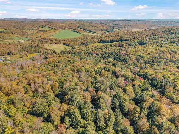 $134,000 | Reservoir Hill Road, Plymouth, NY 13815