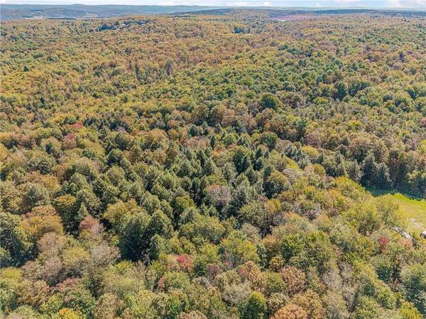 $134,000 | Reservoir Hill Road, Plymouth, NY 13815