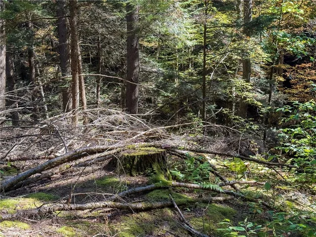 $149,000 | Reservoir Hill Road, Norwich, NY 13815