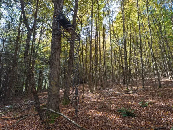 $134,000 | Reservoir Hill Road, Plymouth, NY 13815