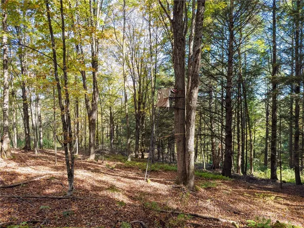 $131,500 | Reservoir Hill Road, Norwich, NY 13815