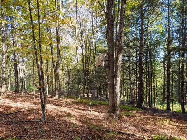 $149,000 | Reservoir Hill Road, Norwich, NY 13815