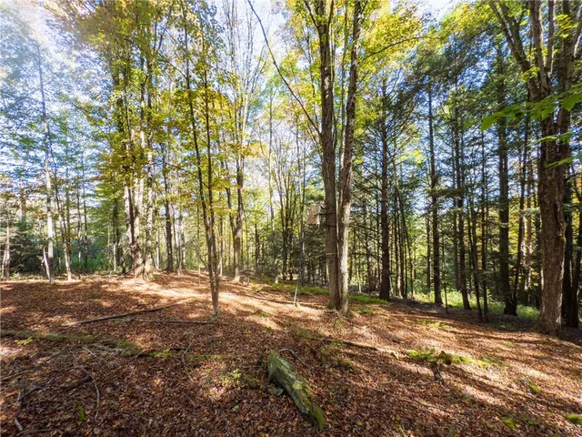 $149,000 | Reservoir Hill Road, Norwich, NY 13815