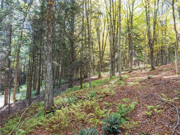 $134,000 | Reservoir Hill Road, Plymouth, NY 13815