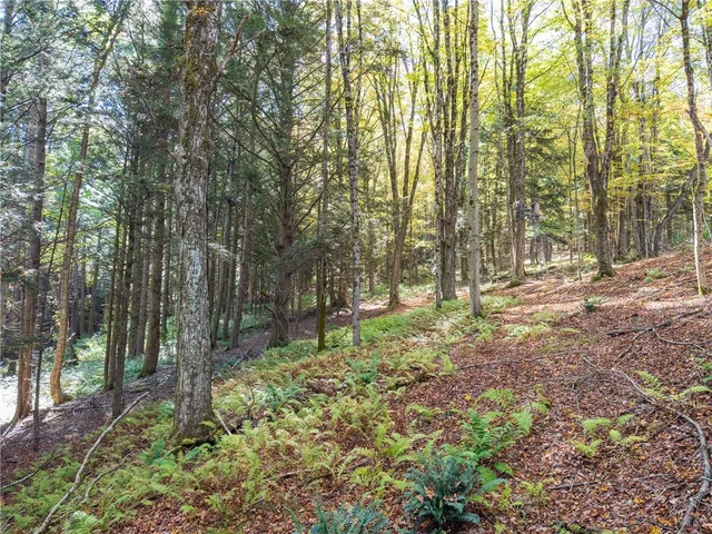 $149,000 | Reservoir Hill Road, Norwich, NY 13815