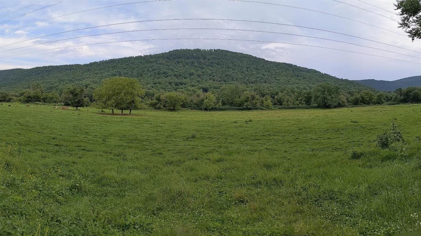 0 State Highway Walton, NY 13856 - Photo 1 of 2