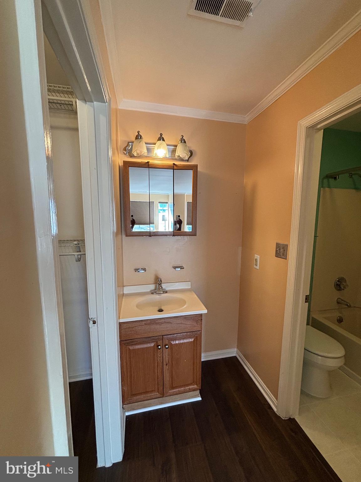 8513 Falls Run Road, Unit A Ellicott City, MD 21043 - Photo 33 of 39 a bathroom with a sink and mirror