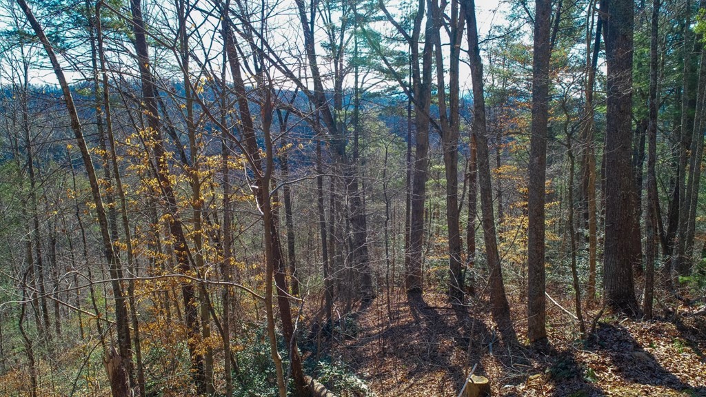 1574 Old 15th Road Del Rio, TN 37727 - Photo 15 of 36 Gallery Image 15