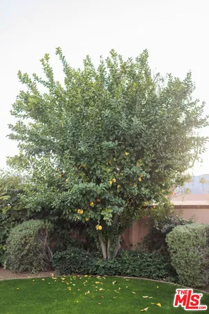 a patio with table and chairs
