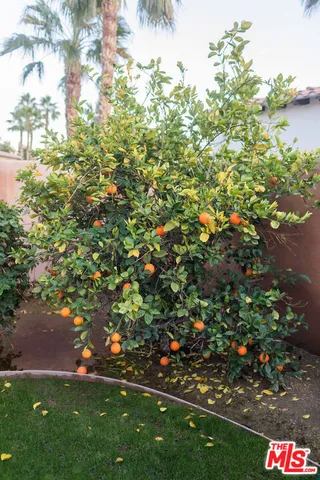 a view of a street with a building in the background