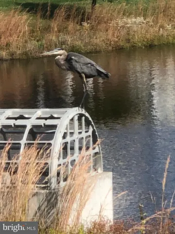 $614,000 | 17010 Bellevue Court, Millville, DE 19967