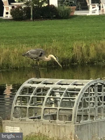 $614,000 | 17010 Bellevue Court, Millville, DE 19967