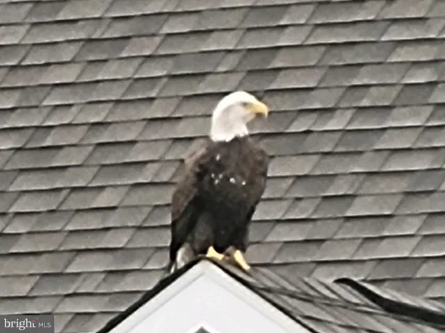 $614,000 | 17010 Bellevue Court, Millville, DE 19967