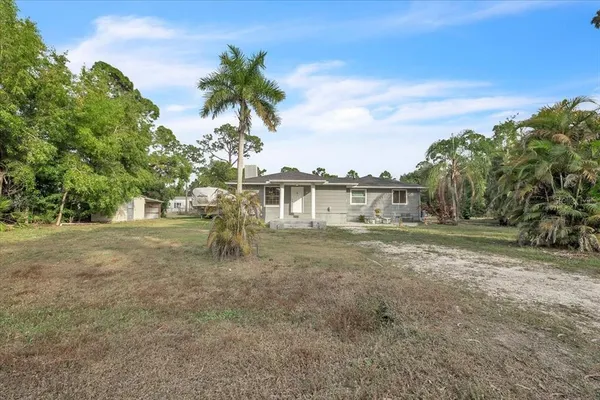 a very nice looking yard with a large tree