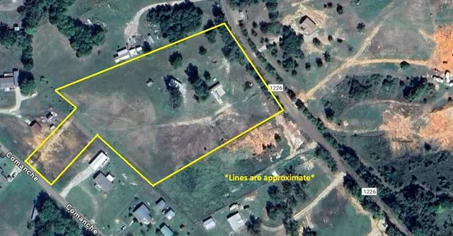 a picture of flowers