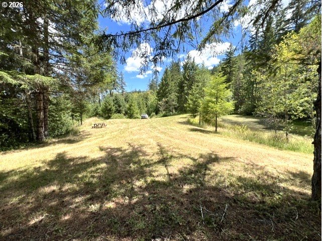 Fairdale Road Yamhill, OR 97148 - Photo 21 of 47 Gallery Image 21