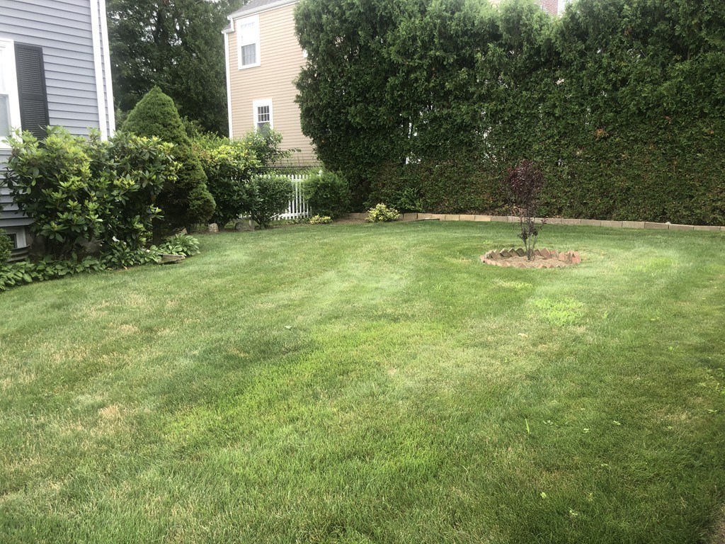 17 Hatfield Road, Unit 17 Newton, MA 02465 - Photo 15 of 15