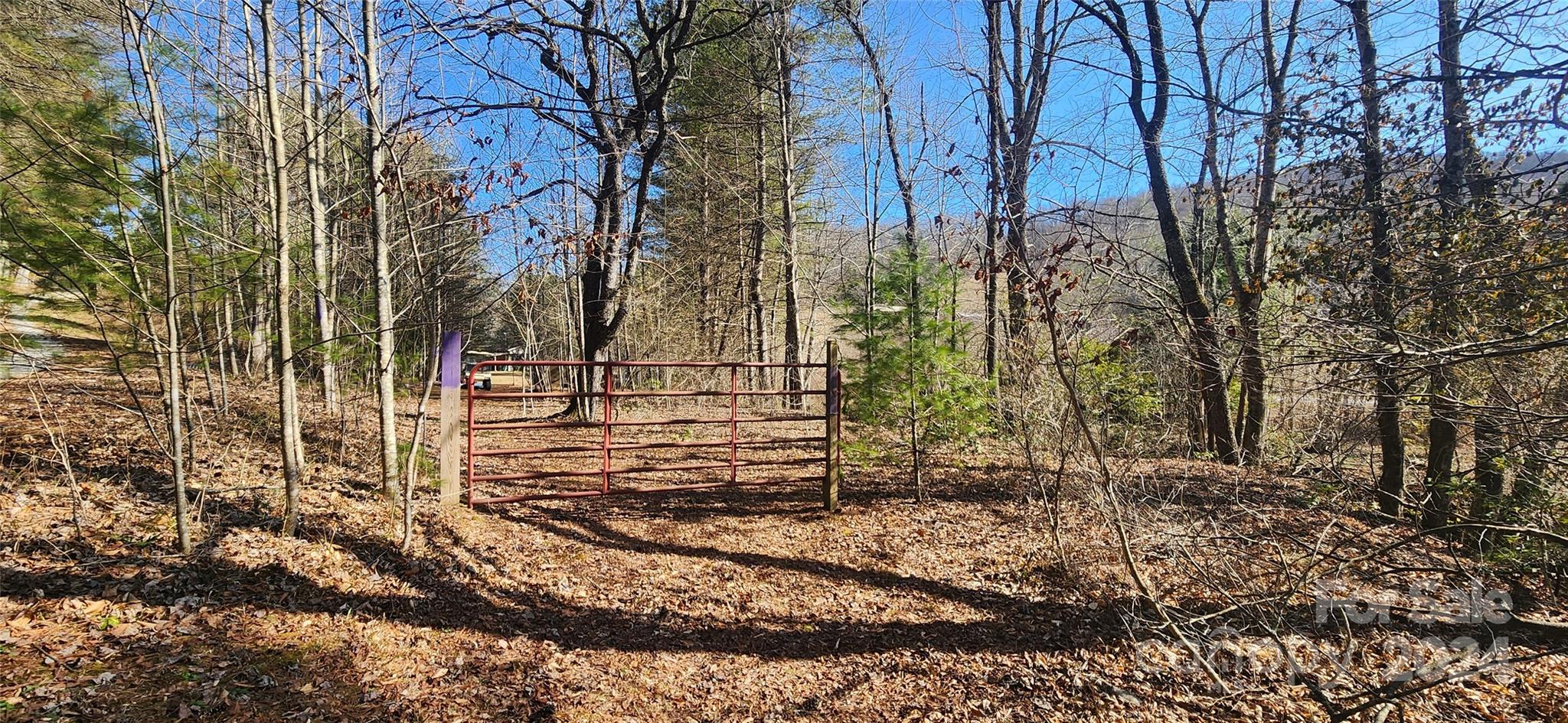 2592 Tanasee Gap Road Balsam Grove, NC 28708 - Photo 1 of 11 Gallery Image 1
