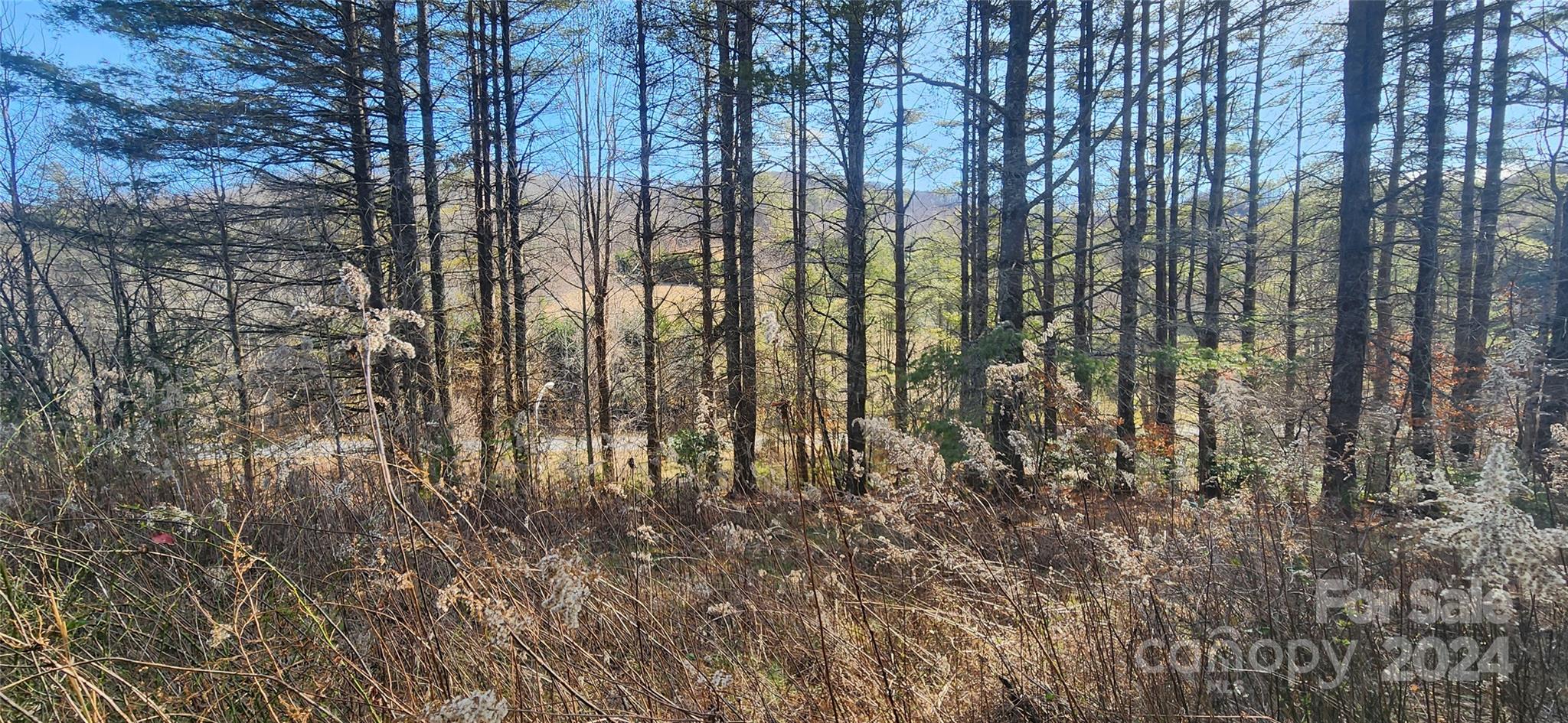 2592 Tanasee Gap Road Balsam Grove, NC 28708 - Photo 3 of 11 Gallery Image 3