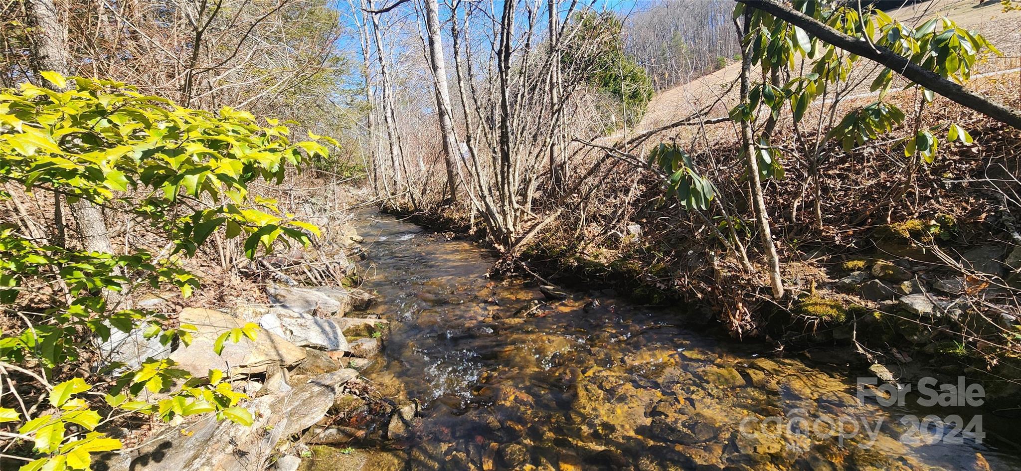 2592 Tanasee Gap Road Balsam Grove, NC 28708 - Photo 4 of 11 Gallery Image 4