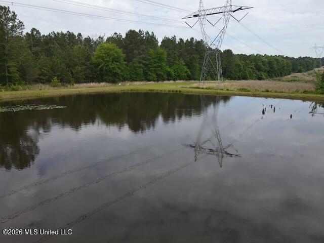 5133 Antioch Road Hazlehurst, MS 39083 - Photo 13 of 78 dji_fly_20260422_104336_53_1776872669858