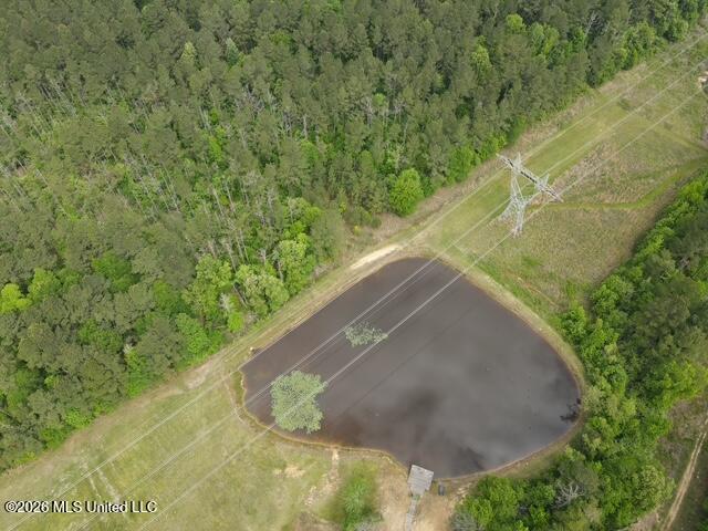 5133 Antioch Road Hazlehurst, MS 39083 - Photo 15 of 78 dji_fly_20260422_104130_46_1776872573311