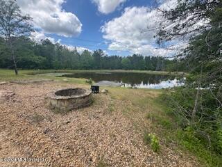 5133 Antioch Road Hazlehurst, MS 39083 - Photo 2 of 78 IMG_1890