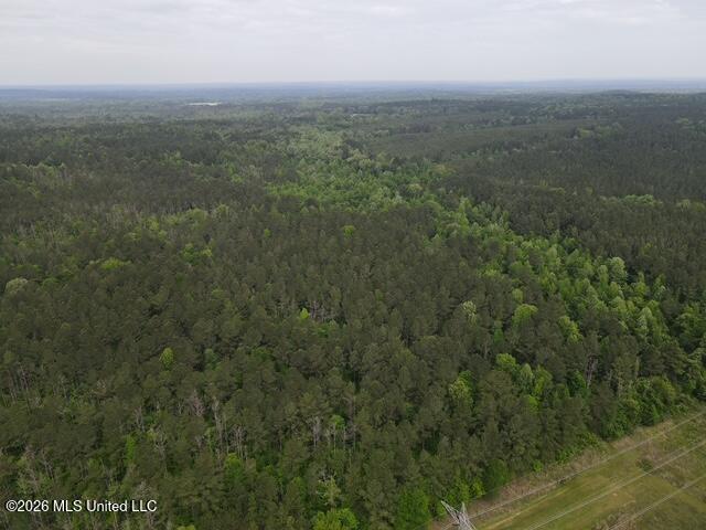 5133 Antioch Road Hazlehurst, MS 39083 - Photo 21 of 78 dji_fly_20260422_104214_49_1776872588326