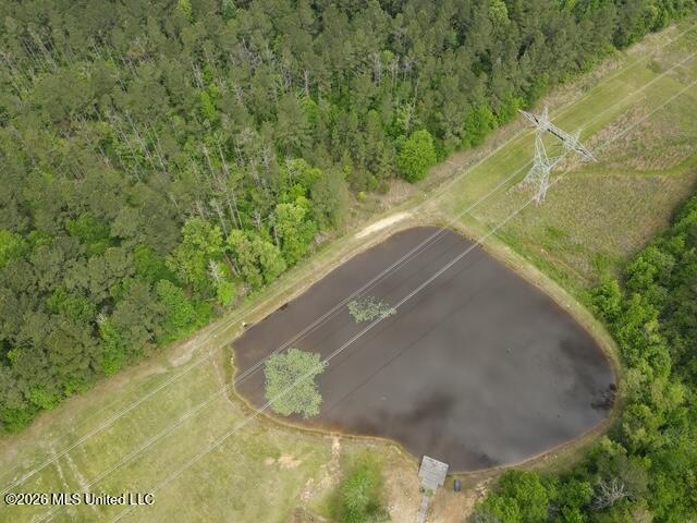 5133 Antioch Road Hazlehurst, MS 39083 - Photo 23 of 78 dji_fly_20260422_104148_47_1776872578526