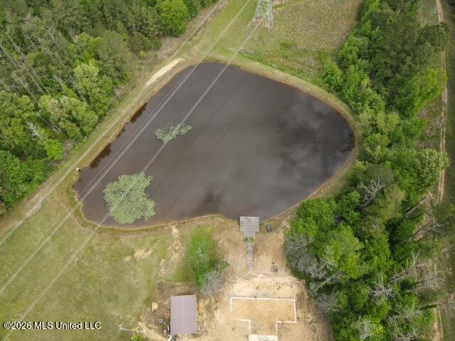 5133 Antioch Road Hazlehurst, MS 39083 - Photo 29 of 78 dji_fly_20260422_104050_38_1776872567831