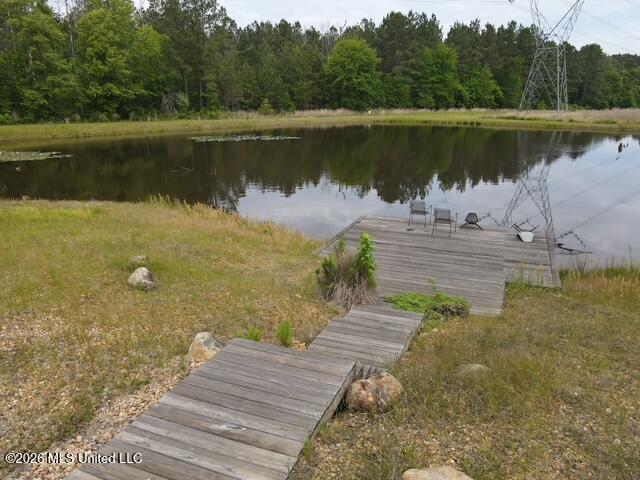 5133 Antioch Road Hazlehurst, MS 39083 - Photo 3 of 78 dji_fly_20260422_104346_54_1776872675338