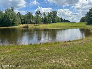 5133 Antioch Road Hazlehurst, MS 39083 - Photo 34 of 78 IMG_1899 (1)