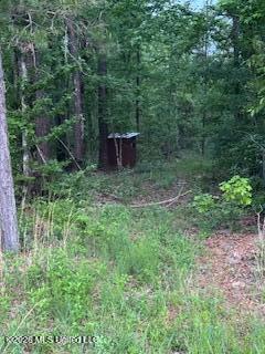5133 Antioch Road Hazlehurst, MS 39083 - Photo 38 of 78 IMG_2049