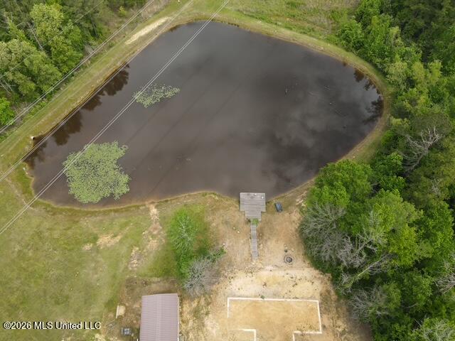 5133 Antioch Road Hazlehurst, MS 39083 - Photo 4 of 78 dji_fly_20260422_104042_37_1776872504778