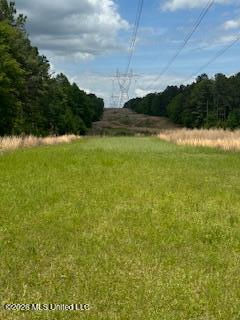 5133 Antioch Road Hazlehurst, MS 39083 - Photo 47 of 78 IMG_1903