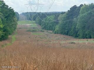 5133 Antioch Road Hazlehurst, MS 39083 - Photo 51 of 78 IMG_1964