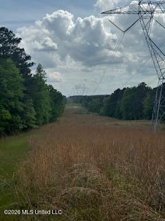5133 Antioch Road Hazlehurst, MS 39083 - Photo 52 of 78 IMG_1963