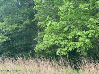 5133 Antioch Road Hazlehurst, MS 39083 - Photo 53 of 78 IMG_1962